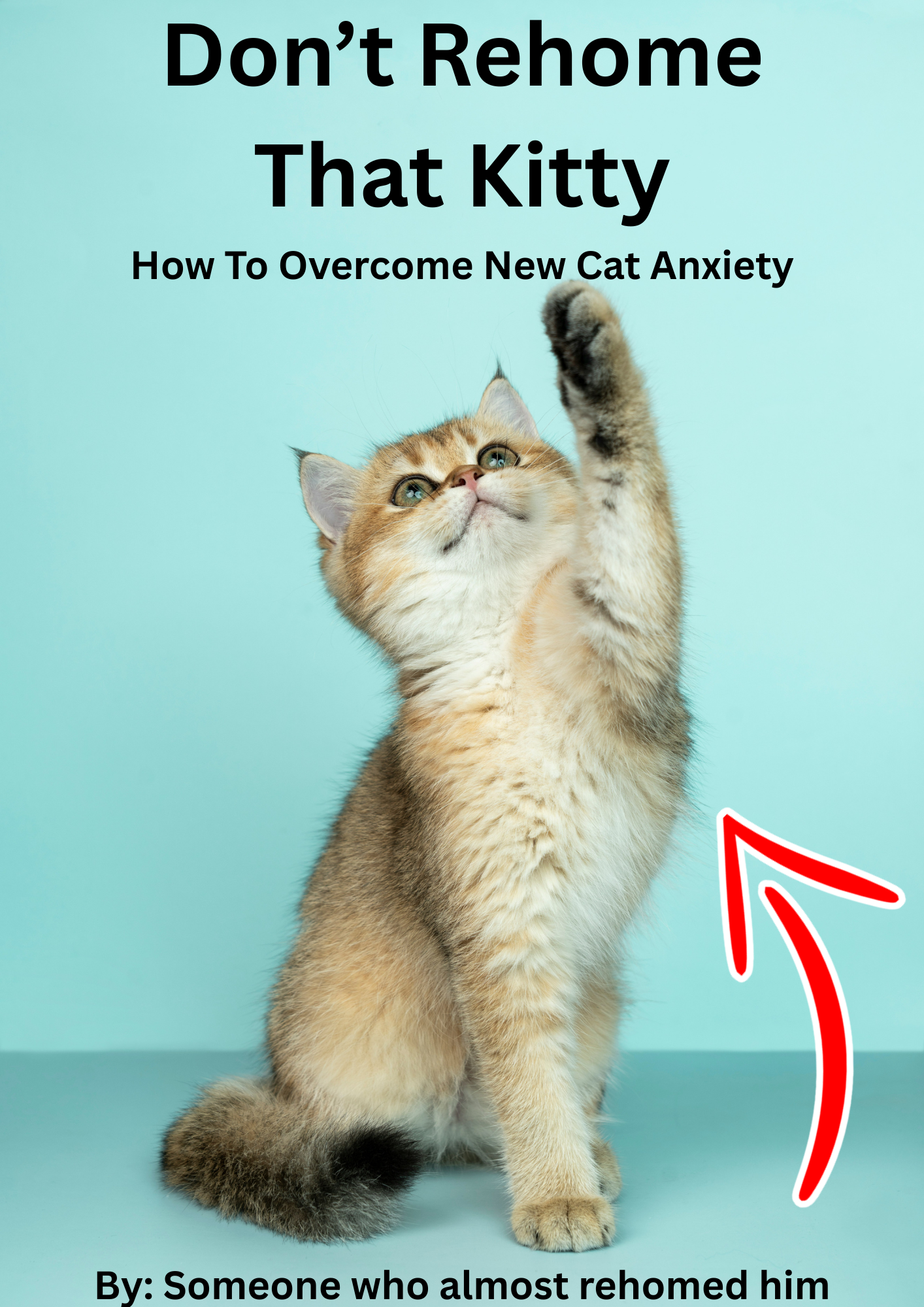 How To Overcome New Cat Anxiety